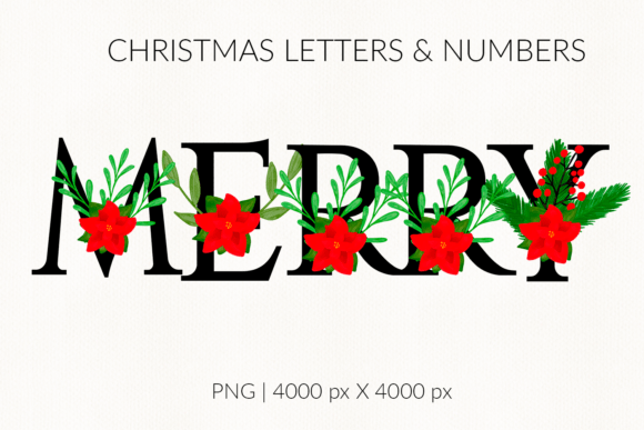 Poinsettia Watercolor Christmas Letters Review